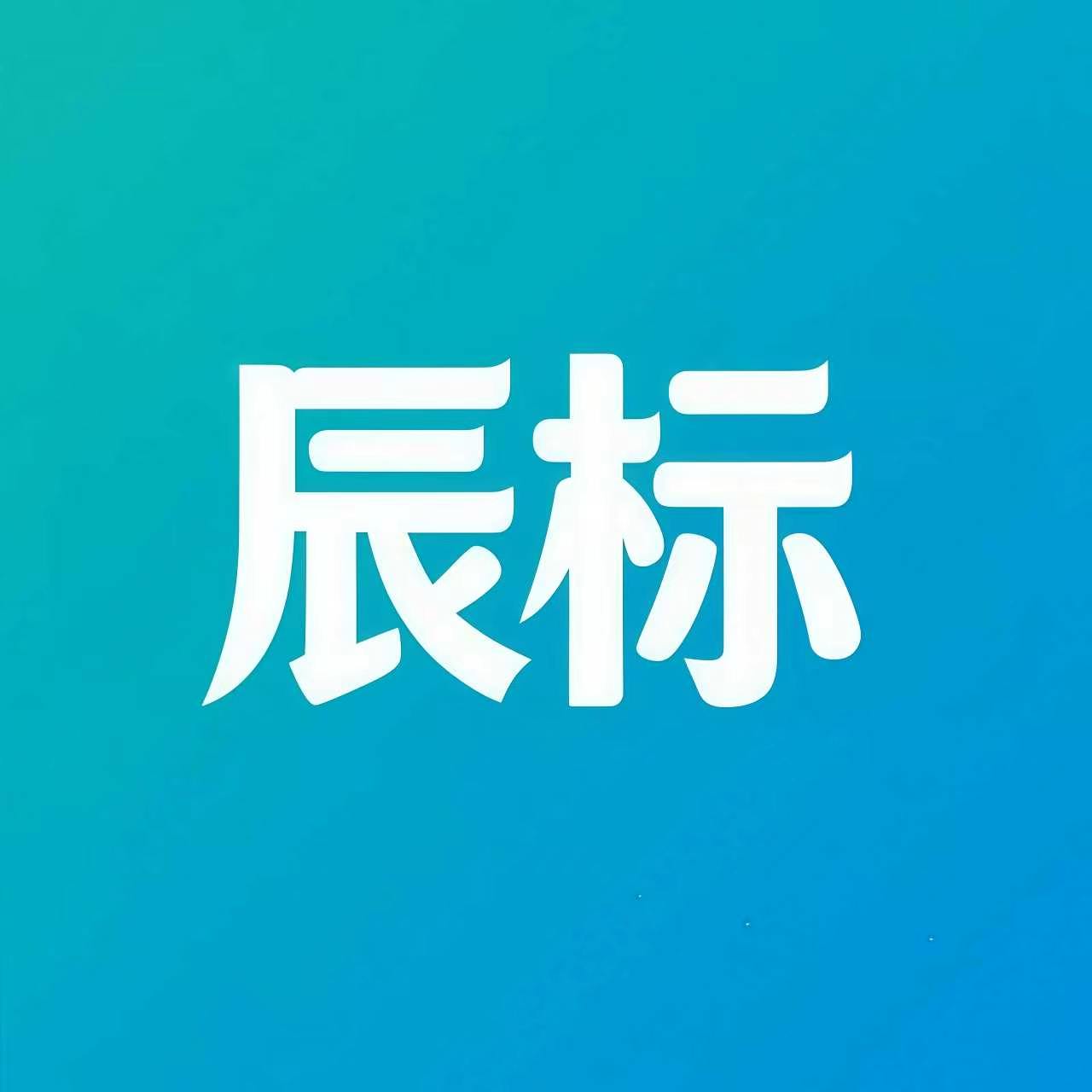 广州辰标知识产权服务有限公司简介