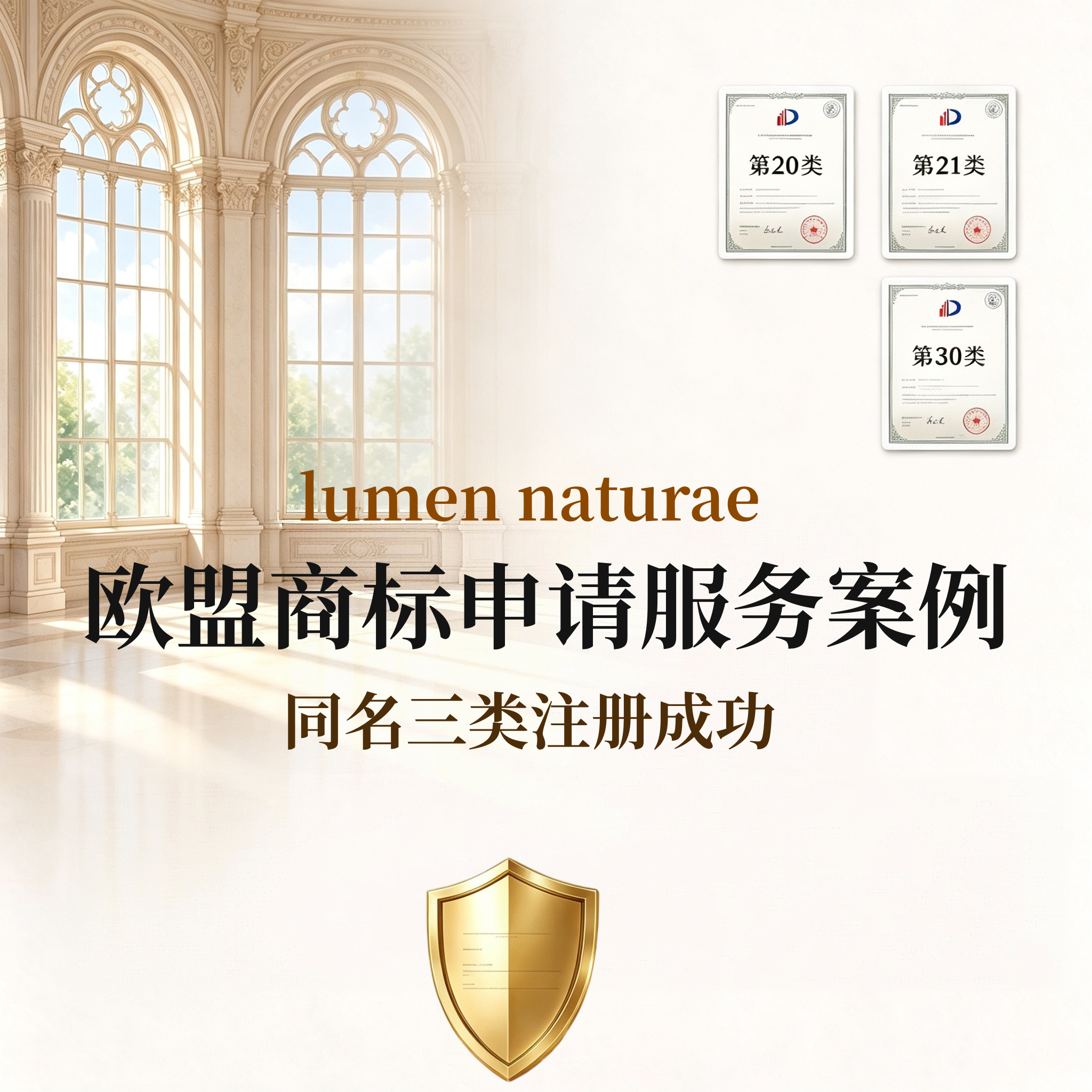 欧盟商标申请服务案例｜lumen naturae20, 21,30同名三类注册成功